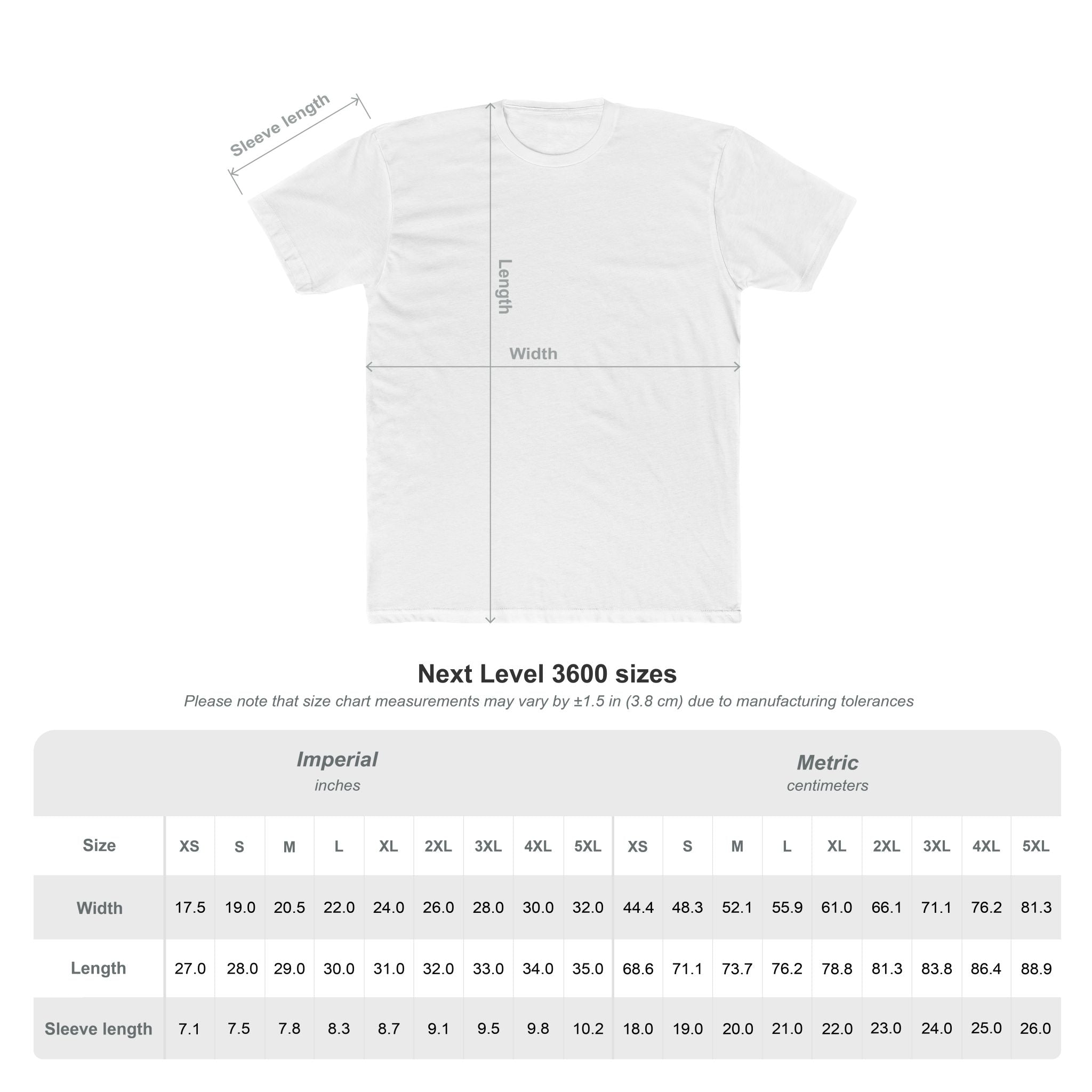 Fiery Rising Bird Graphic Tee